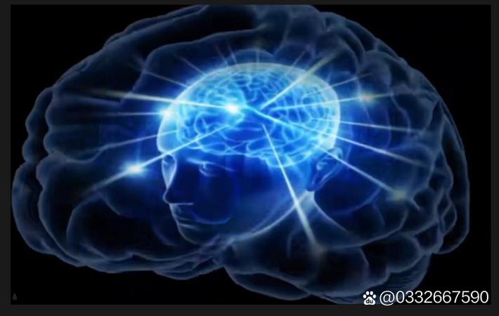 知名女星离婚内幕曝光，财产分割引发热议